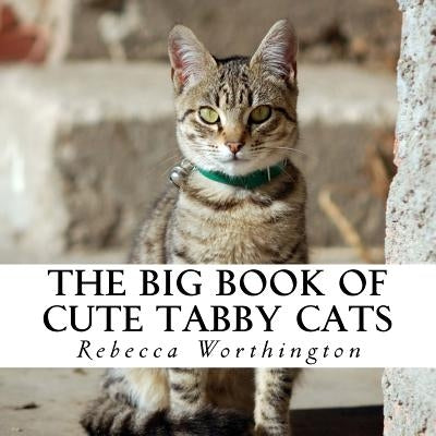 The Big Book of Cute Tabby Cats: A text-free book for Seniors and Alzheimer's patients by Worthington, Rebecca