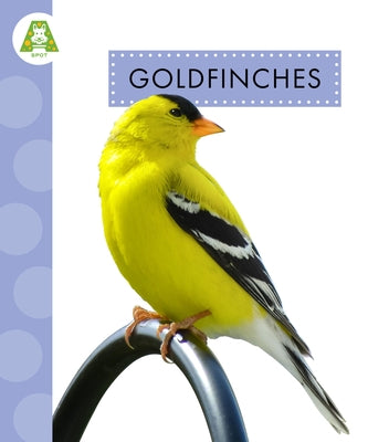 Goldfinches by Suen, Anastasia