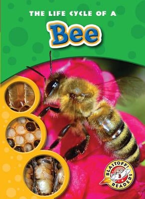 The Life Cycle of a Bee by Sexton, Colleen