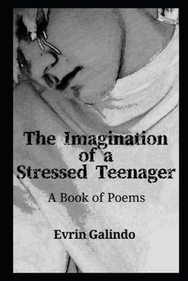 The Imagination of a Stressed Teenager: A Book of Poems by Galindo, Evrin