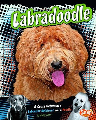 Labradoodle: A Cross Between a Labrador Retriever and a Poodle by Allen, Kathy