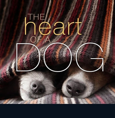 The Heart of a Dog by Blaylock, Liz Abeler