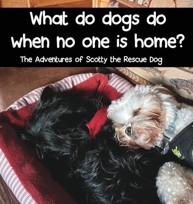What do dogs do when no one is home? by Janiga, Tamara
