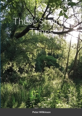 These Strange Times by Wilkinson, Peter