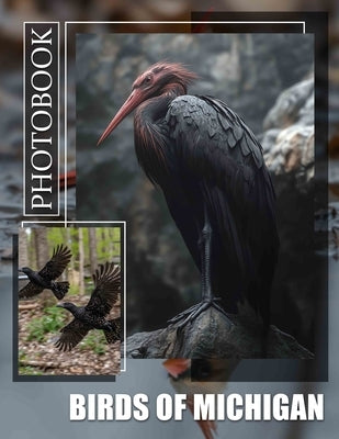 Birds of Michigan Photo Book: Explore The Avian Diversity Of Michigan Through 40 Stunning Images And Captivating Details by Ramirez, Christopher