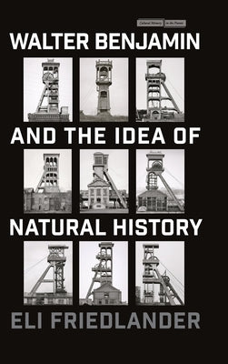 Walter Benjamin and the Idea of Natural History by Friedlander, Eli