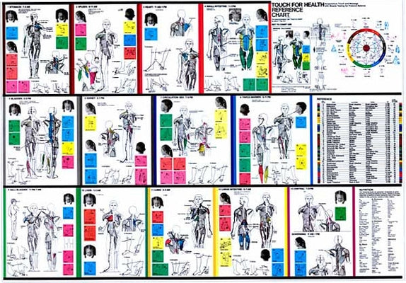 Touch for Health Reference Chart (5 Copy Pack) by Thie, John