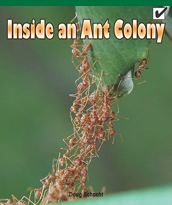 Inside an Ant Colony by Roza, Greg