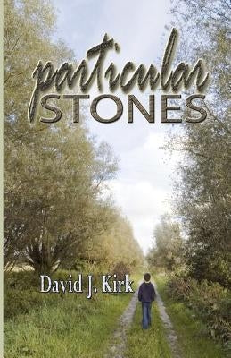 Particular Stones by Kirk, David J.