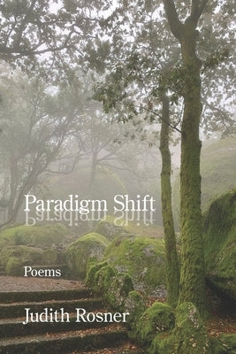 Paradigm Shift by Rosner, Judith
