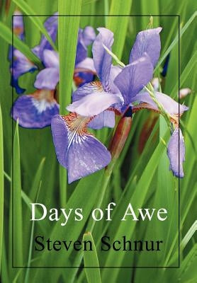 Days of Awe by Schnur, Steven