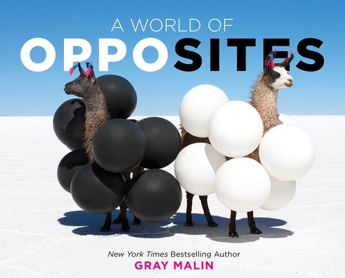 A World of Opposites by Malin, Gray