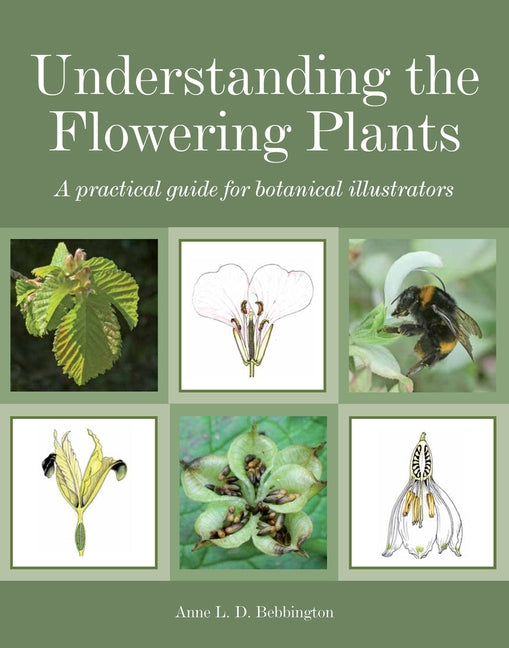 Understanding the Flowering Plants: A Practical Guide for Botanical Illustrators by Bebbington, Anne