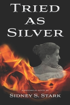 Tried as Silver by Stark, Sidney S.