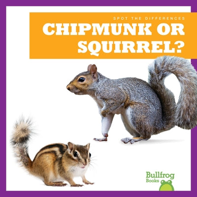 Chipmunk or Squirrel? by Austen, Lily