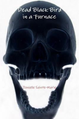Dead Black Bird in a Furnace by Sainte-Marie, Danielle