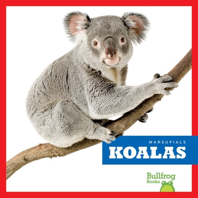 Koalas by Deniston, Natalie