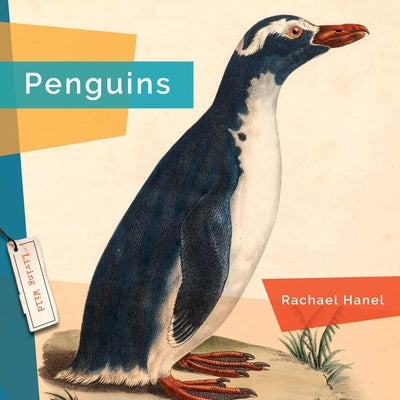 Penguins by Hanel, Rachael