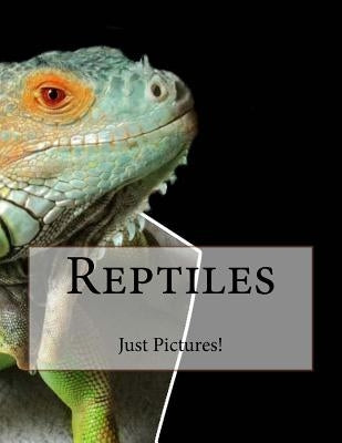 Reptiles by Pictures!, Just