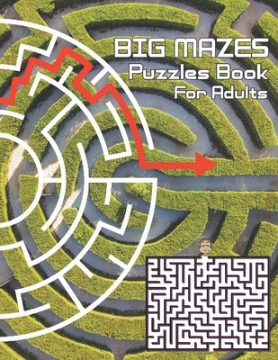 Big Mazes Puzzles Book For Adults: Challenge and Fun for your Brain, Square Mazes Level Two-Player Mazes Books for Beginner to Expert, Maze Puzzle Boo by Publisher, Louise Wright