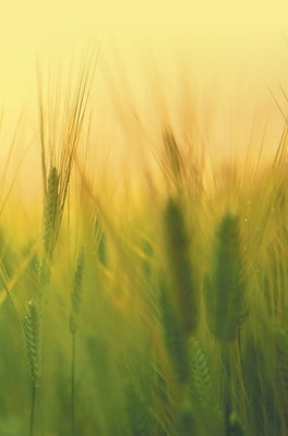 Agricultural Microbiology by Sharma, Harsha