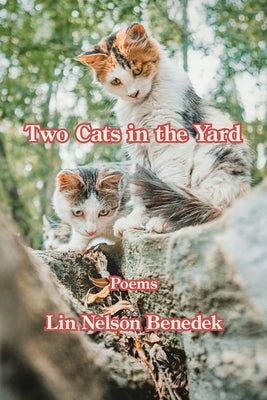 Two Cats in the Yard by Benedek, Lin Nelson