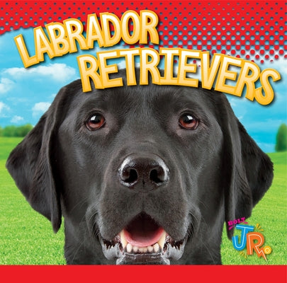 Labrador Retrievers by Storm, Marysa