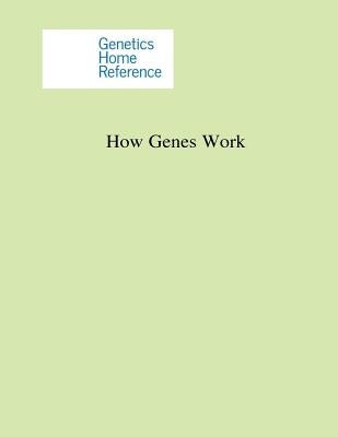 How Genes Work by Penny Hill Press