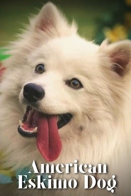 American Eskimo Dog: Dog breed overview and guide by Pustova, Nina