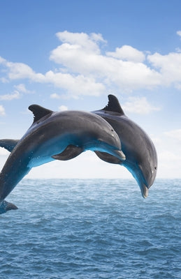 Dolphins Blank Journal by 
