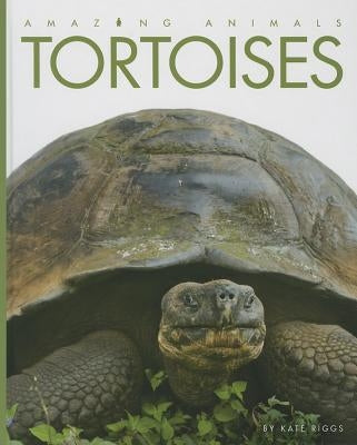 Tortoises by Riggs, Kate