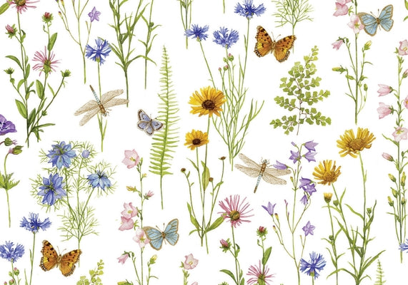 Wildflower Garden Note Cards by Johnston, Ann