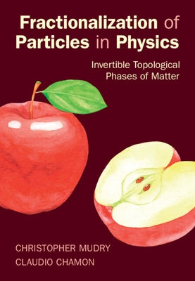 Fractionalization of Particles in Physics by Chamon, Claudio