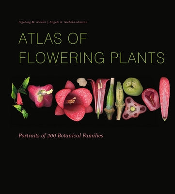 Atlas of Flowering Plants: Visual Studies of 200 Deconstructed Botanical Families by Niesler, Ingeborg M.