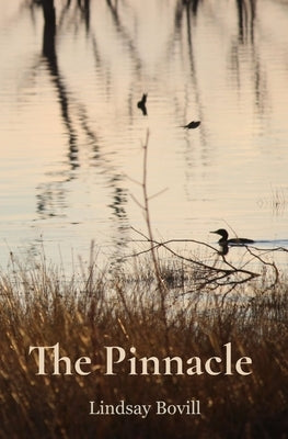 The Pinnacle by Bovill, Lindsay