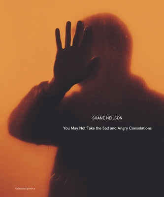 You May Not Take the Sad and Angry Consolations by Neilson, Shane
