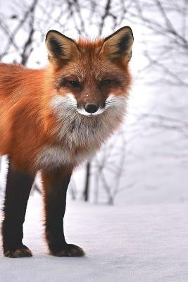 Fox: The Red Fox's Resourcefulness Has Earned It a Legendary Reputation for Intelligence and Cunning. by Journals, Planners and