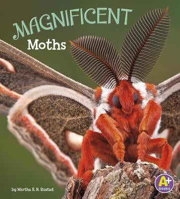 Magnificent Moths by Rustad, Martha E. H.