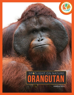 Orangutan by Dell, Pamela