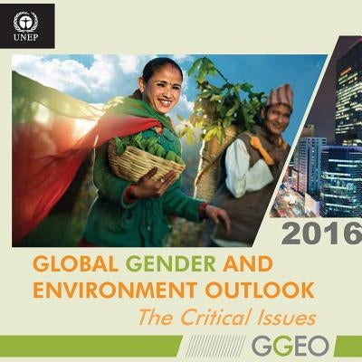 Global Gender and Environment Outlook 2016: The Critical Issues by United Nations Publications