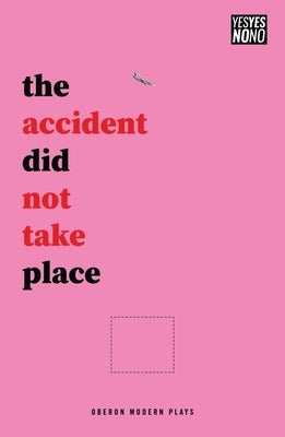The Accident Did Not Take Place by Ward, Sam