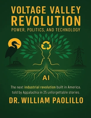 Voltage Valley Revolution: Power, Politics and Technology by Paolillo, William