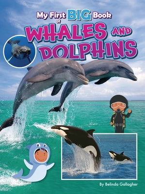 My First Big Book of Whales and Dolphins by Gallagher, Belinda
