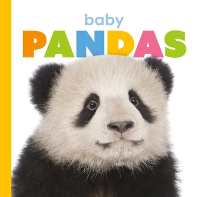 Baby Pandas by Riggs, Kate