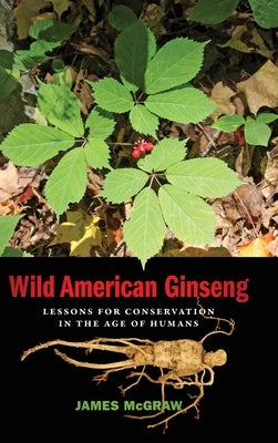 Wild American Ginseng: Lessons for Conservation in the Age of Humans by McGraw, James