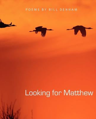 Looking for Matthew by Denham, Bill