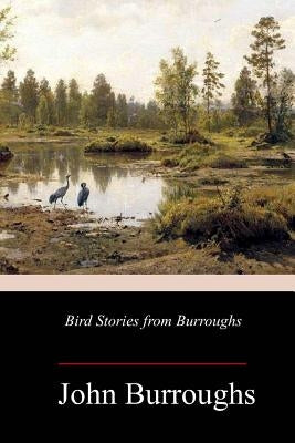 Bird Stories from Burroughs by Burroughs, John