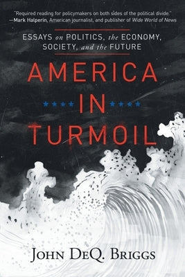 America in Turmoil: Essays on Politics, the Economy, Society, and the Future by Briggs, John Deq