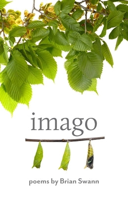 Imago by Swann, Brian