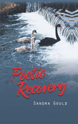 Poetic Recovery by Gould, Sandra